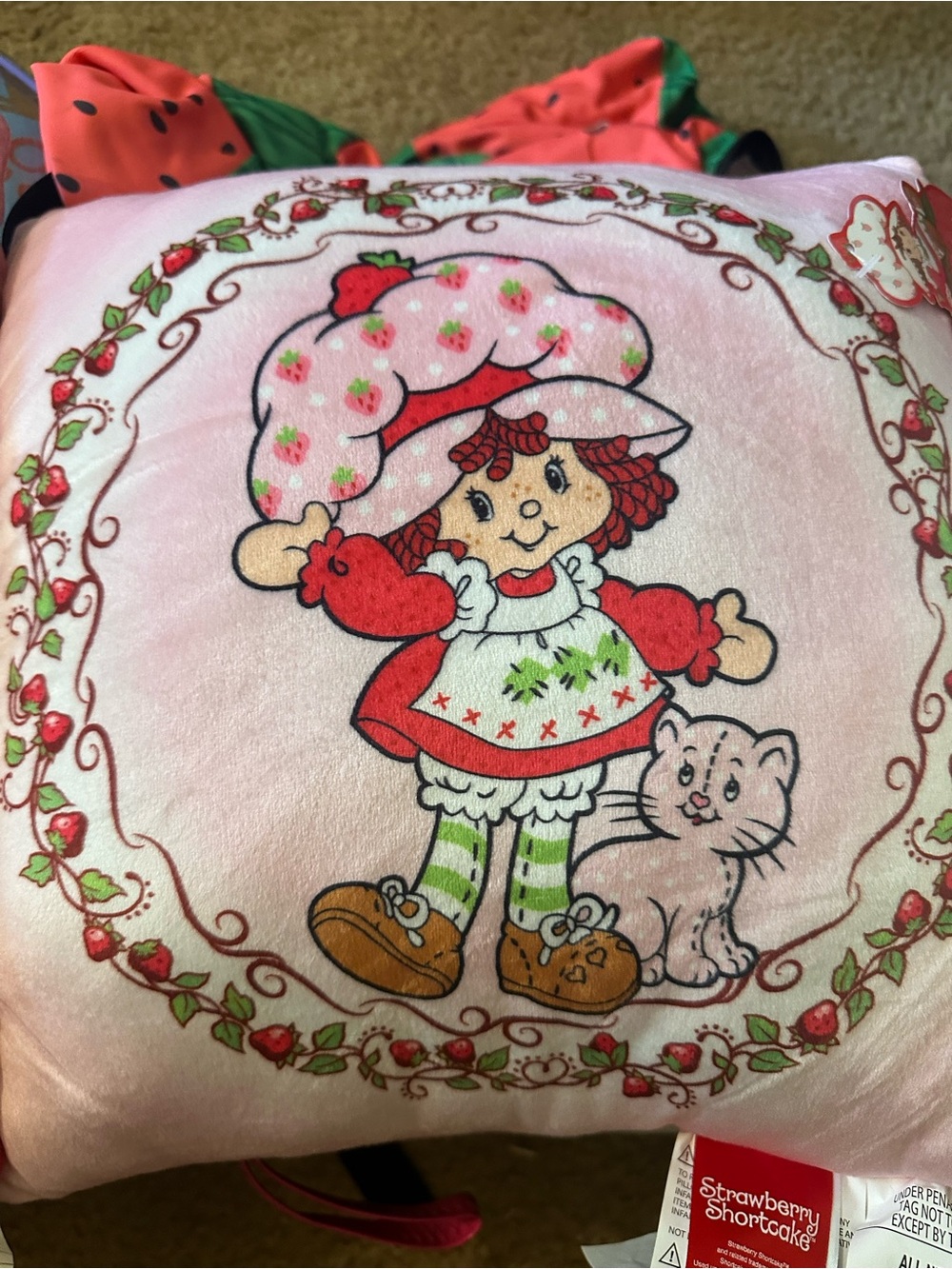 2 Strawberry Shortcake Decorative Pillows. New. With Tags - Picture 3 of 9
